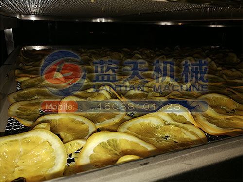 廣西水果烘干機(jī)用戶現(xiàn)場(chǎng)